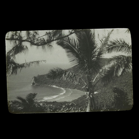 View of tropical beach