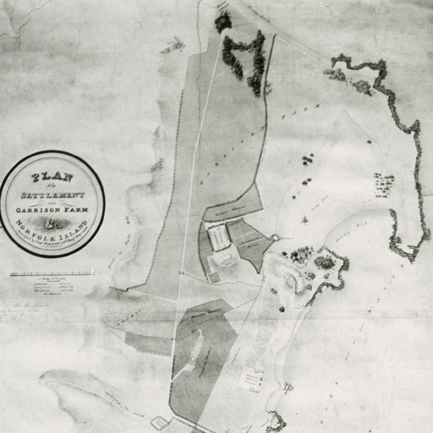 Plan of settlement - Garrison Farm & Co (Norfolk Island)