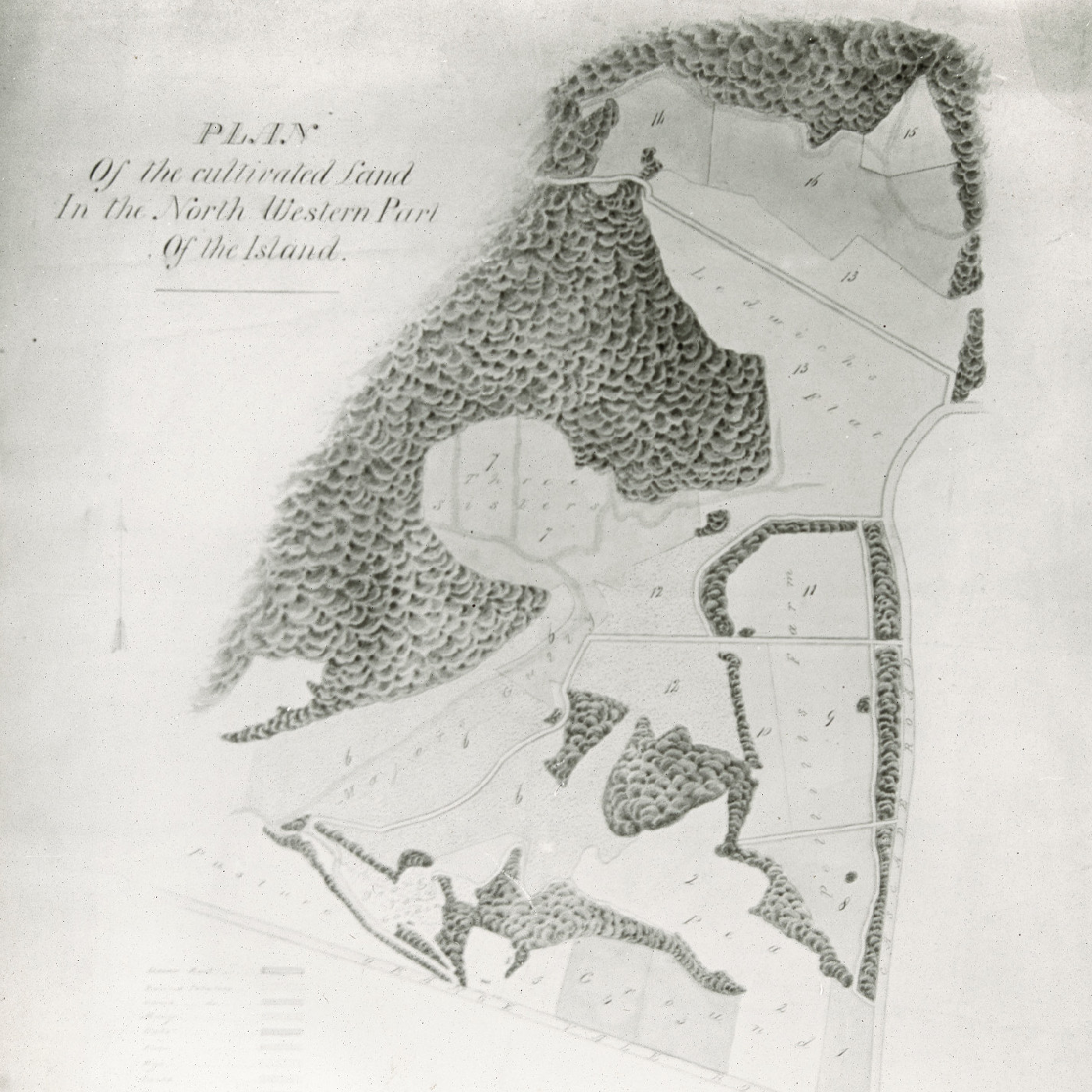 Plan of the cultivated Land In the North Western Part of the Island