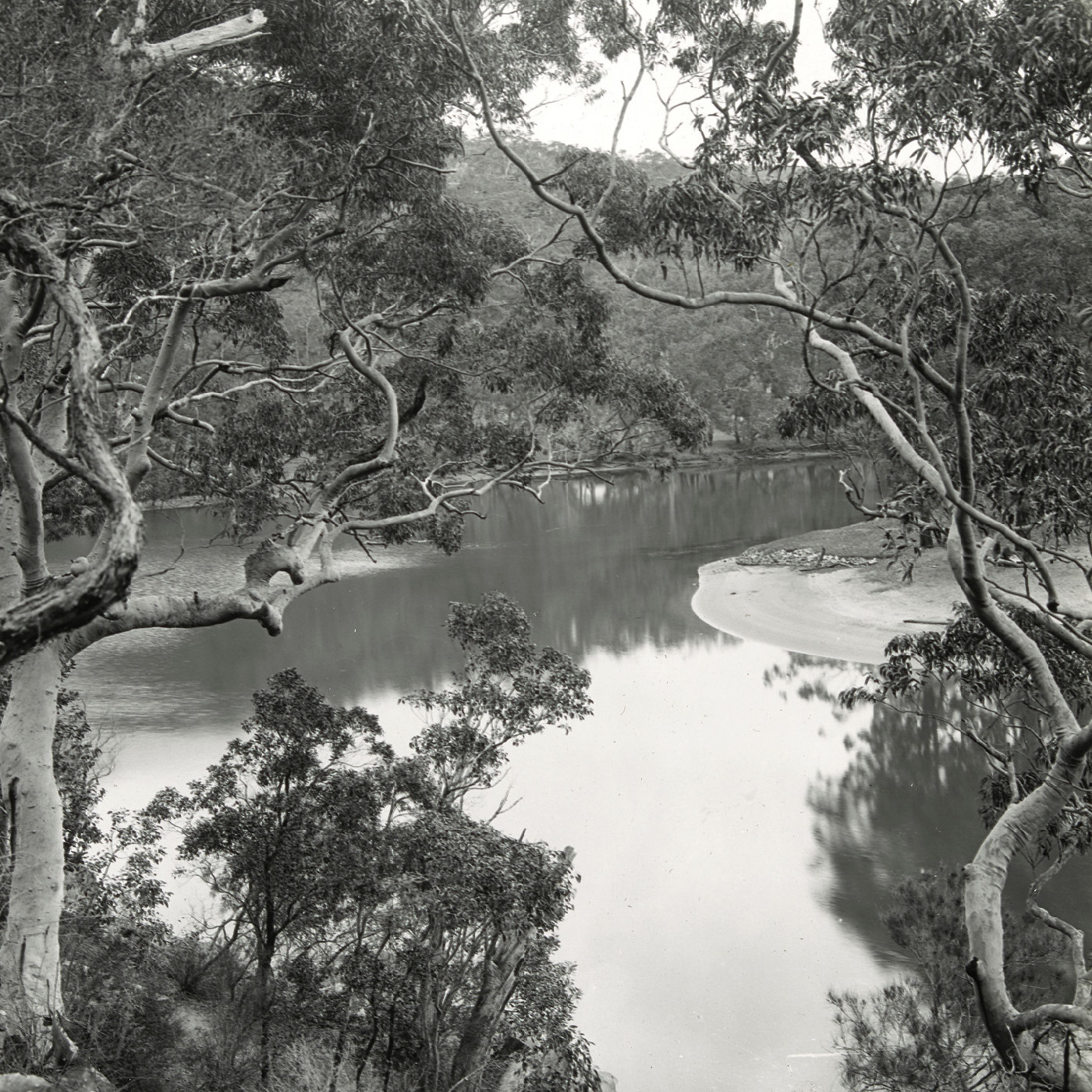 Freshwater river in the Royal National Park, NSW
