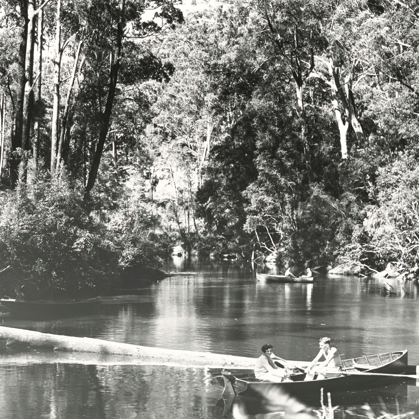 Rowboats at the Royal National Park, NSW