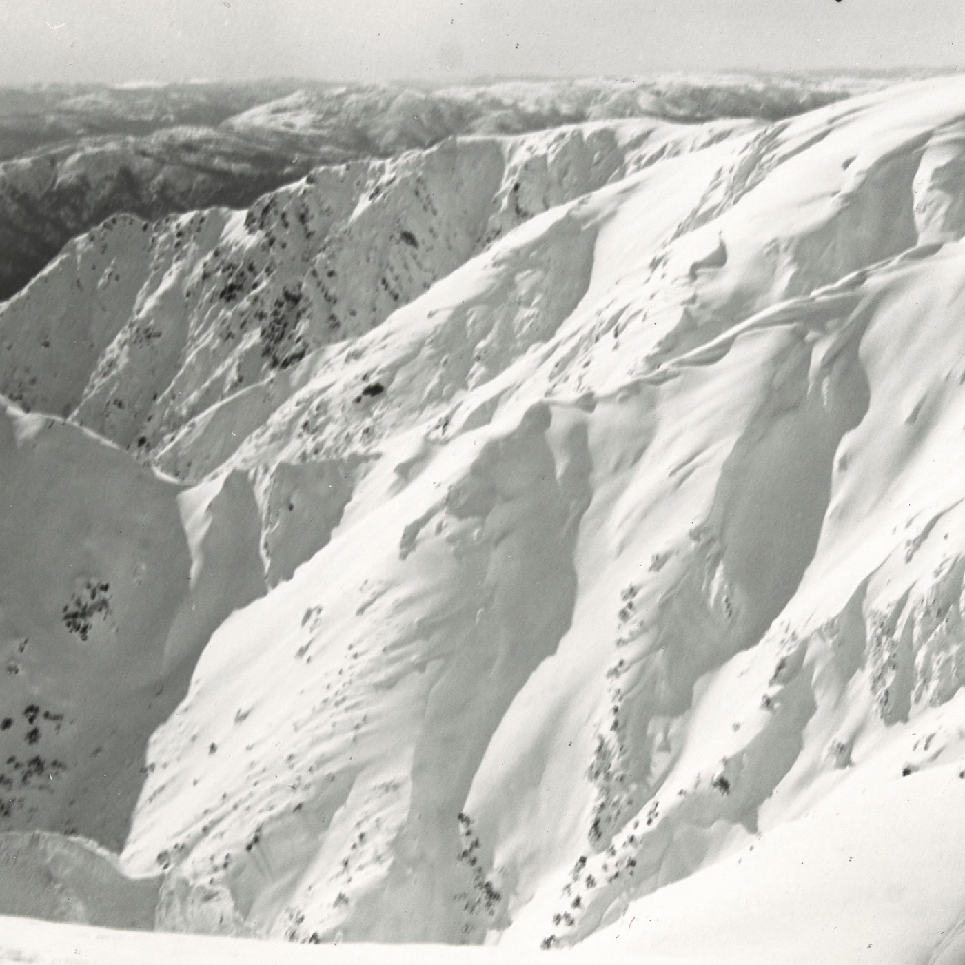 Carruthers Peak, Mt Kosciuszko, NSW