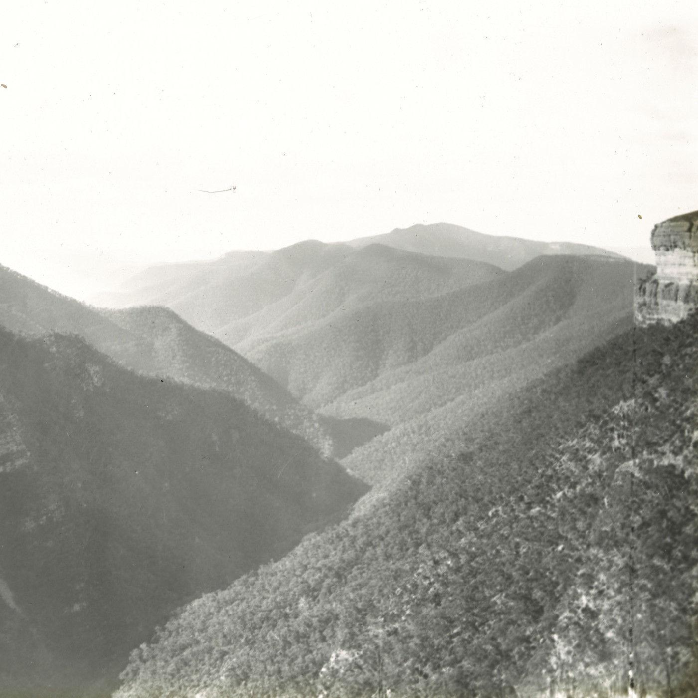 Kanangra Valley Blue Mts NSW