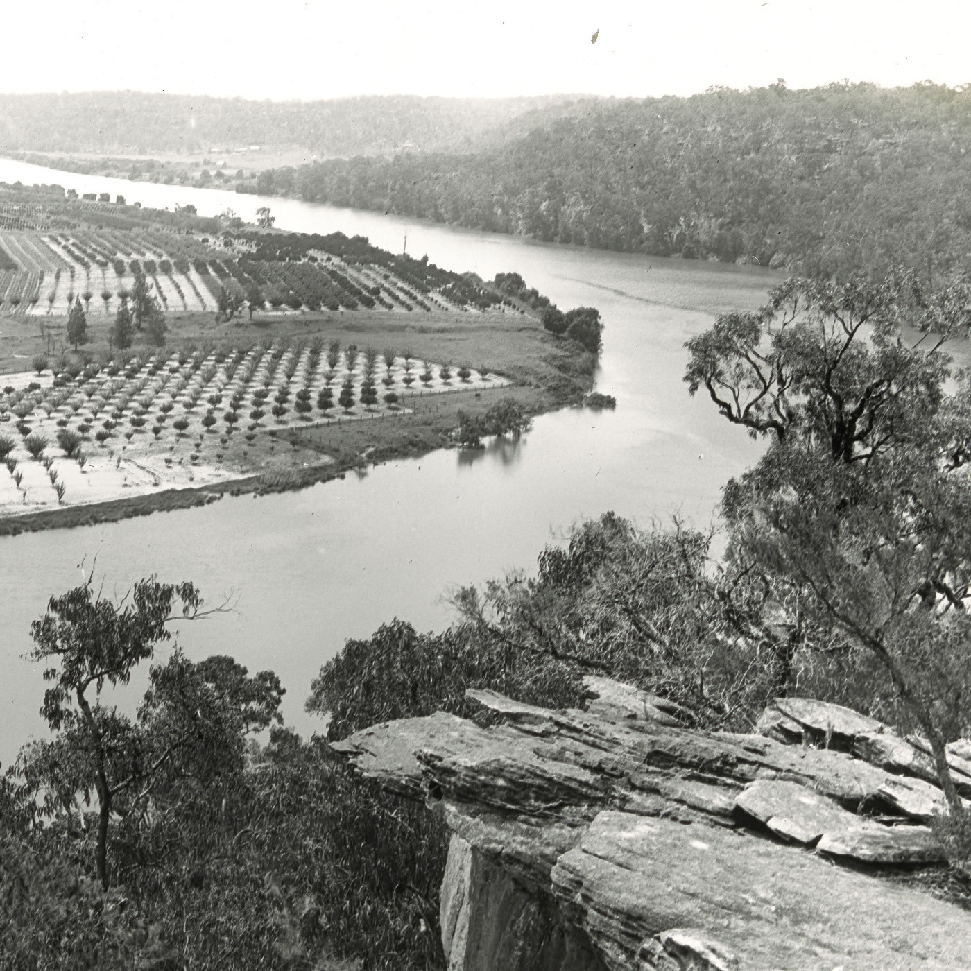 Cambridge Reach showing orchards Hawkesbury River, NSW