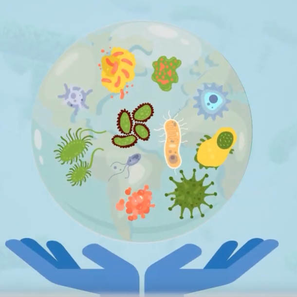 Potentiating Fosfomycin Activity with Antibiotic Helpers 