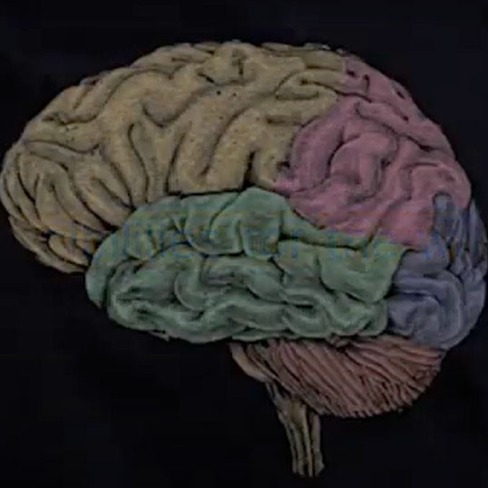 Harnessing the Music-Language link for writing 
