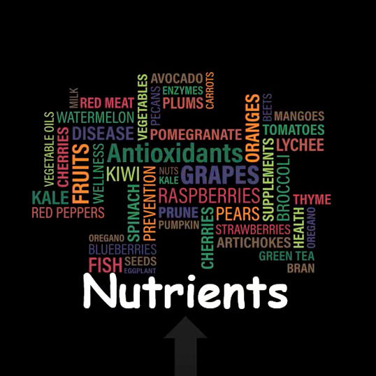 Nutrient Level Sustainability Assessment 