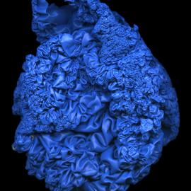 Pathaphysical investigation 24.04.2007