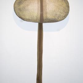 NoWhere NowHere [Erehwon]