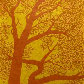 Truncated polychoron (1)