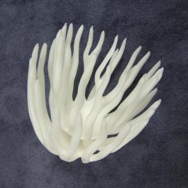 Coral form