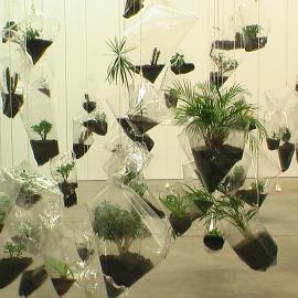 Hanging smoking garden