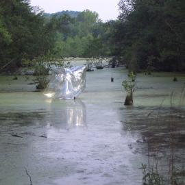 Swamp sculpture