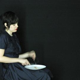 The slaughterhouse project; In media res