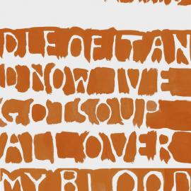 Soup problem installation