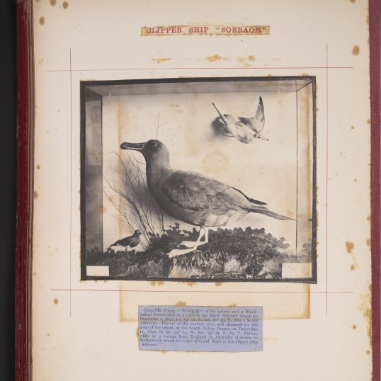 Thomas Parkin's photograph album