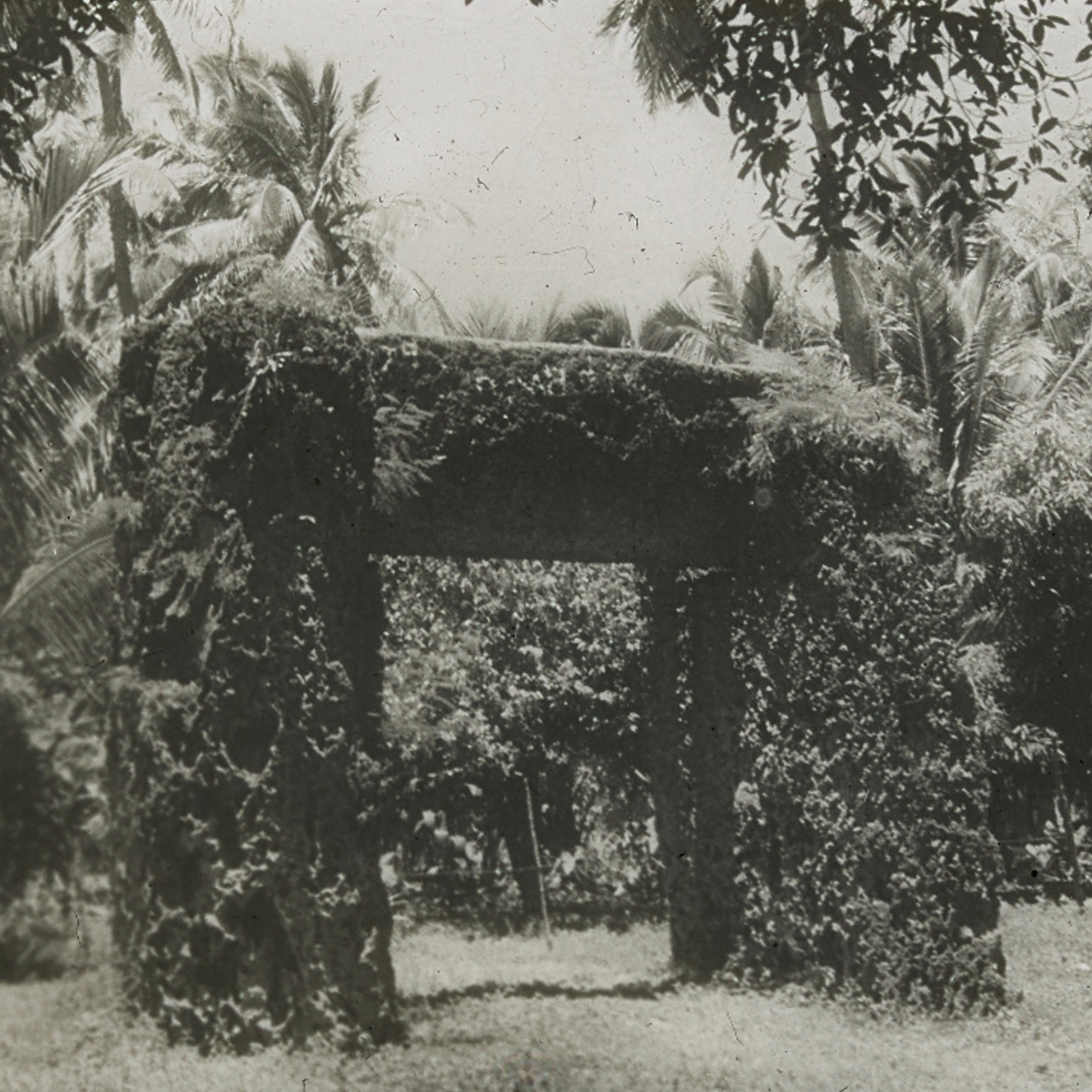 Haʻamonga ʻa Maui (The Burden of Maui), Tonga