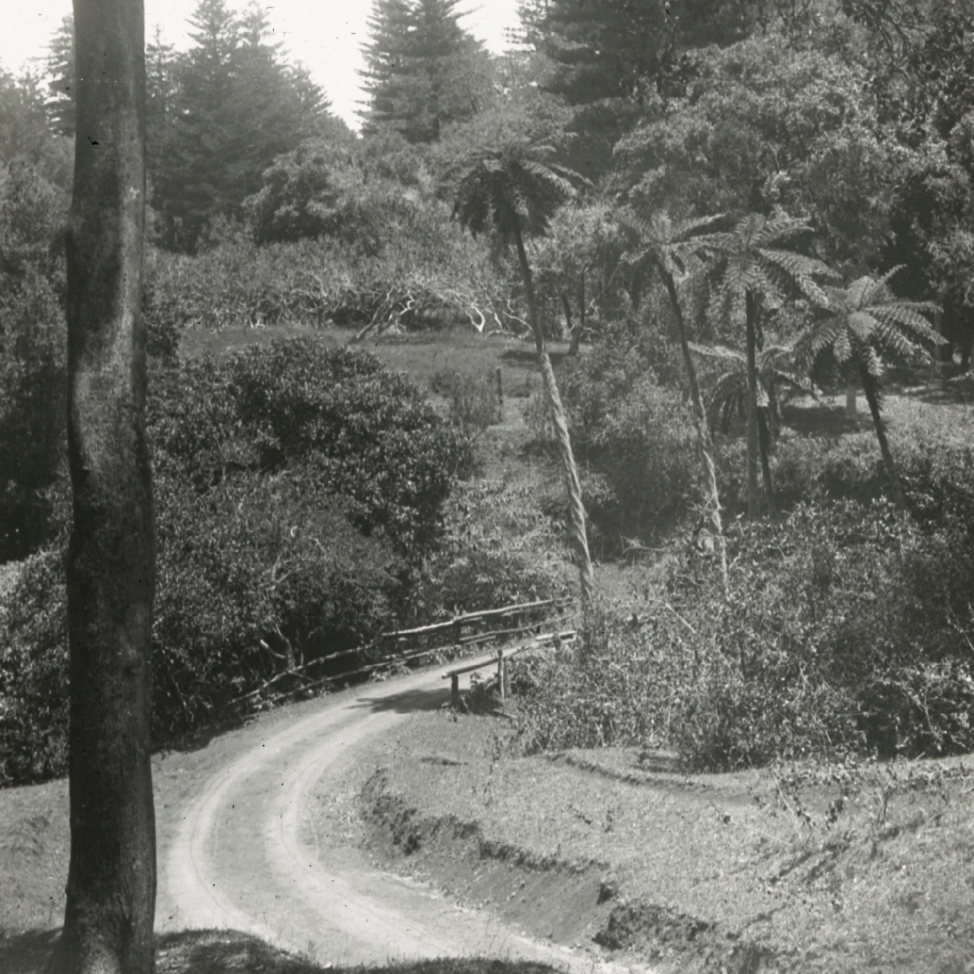 Selwyn Bridge, Norfolk Island