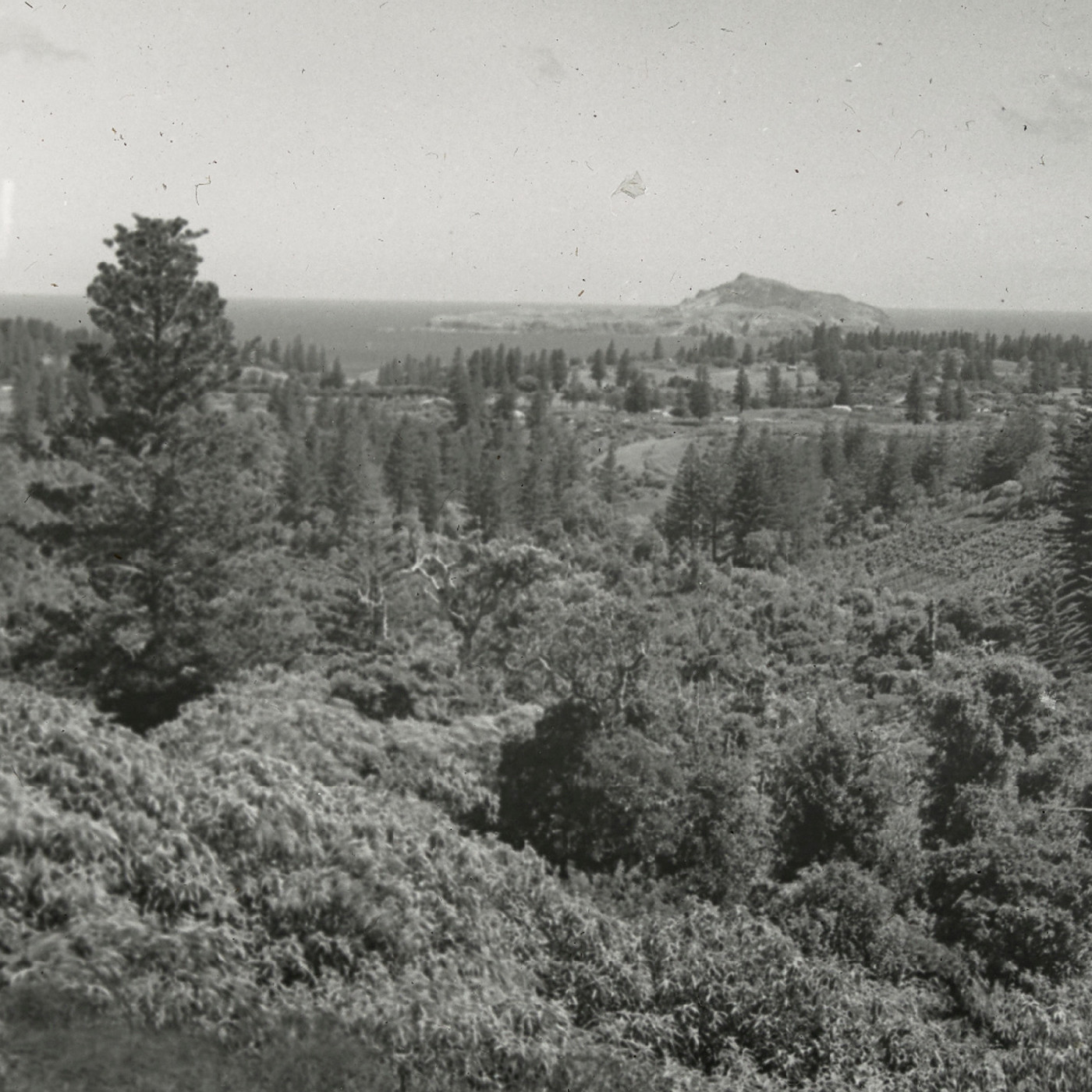 View of Norfolk Island from Mount Pitt, Norfolk Island