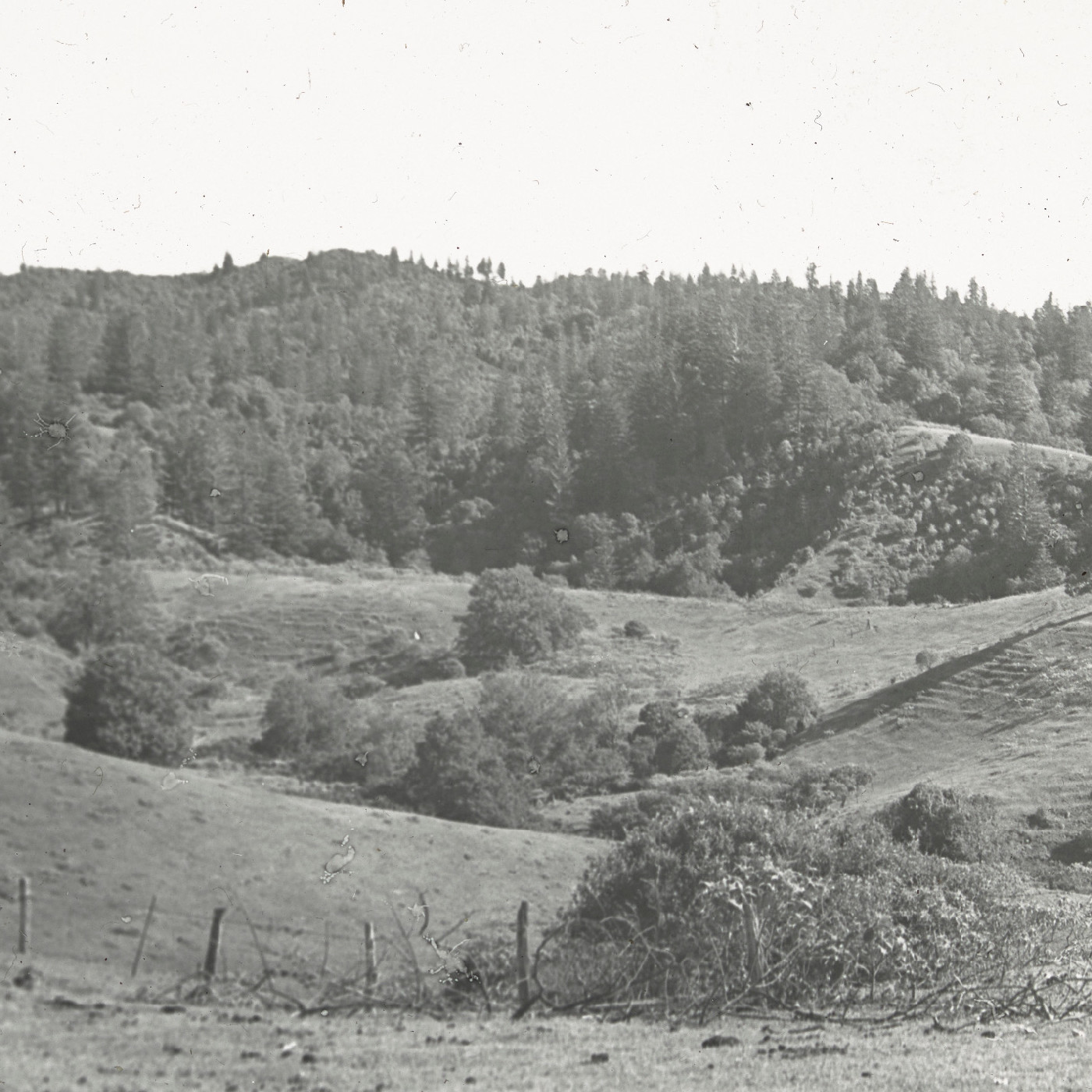 View of Mount Pitt seen from Cascade road, Norfolk Island