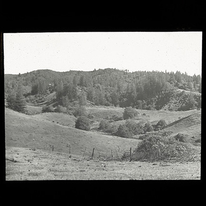 Fence stretching across grassy field, Norfolk Island