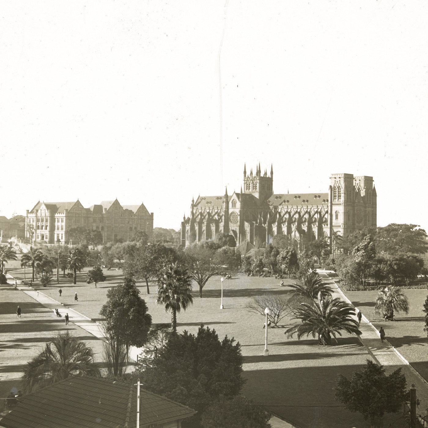 Hyde Park showing St. Mary's Cathedral, Sydney N.S.W.