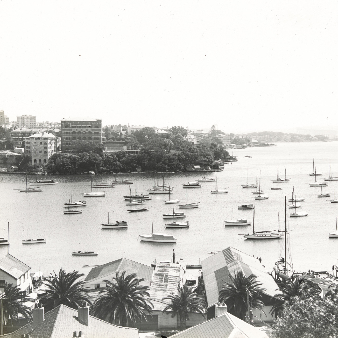 Rushcutters Bay, Sydney Harbour N.S.W.