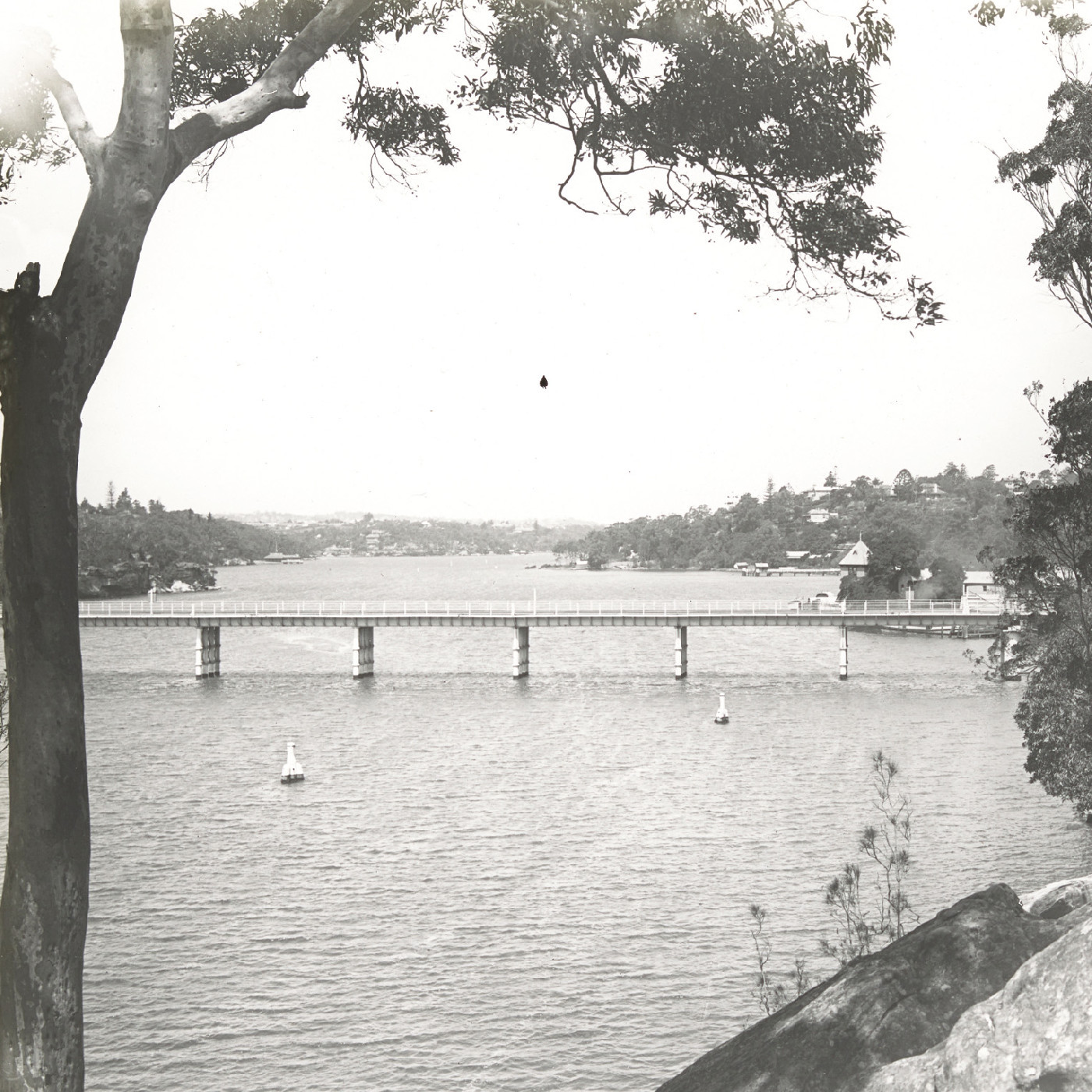 Lane Cove River near Fig Tree N.S.W.
