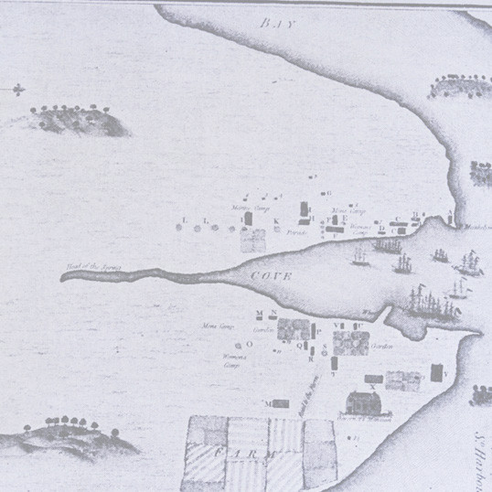 Map of Sydney Cove, Port Jackson