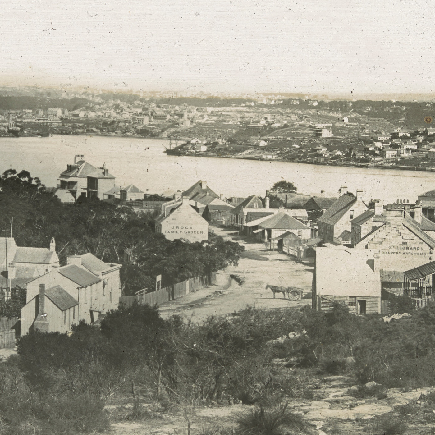 Blues Point & Darling Harbour, St Leonards