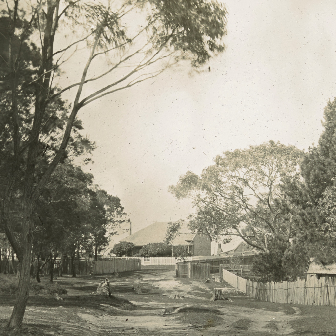 Edward Street, North Shore