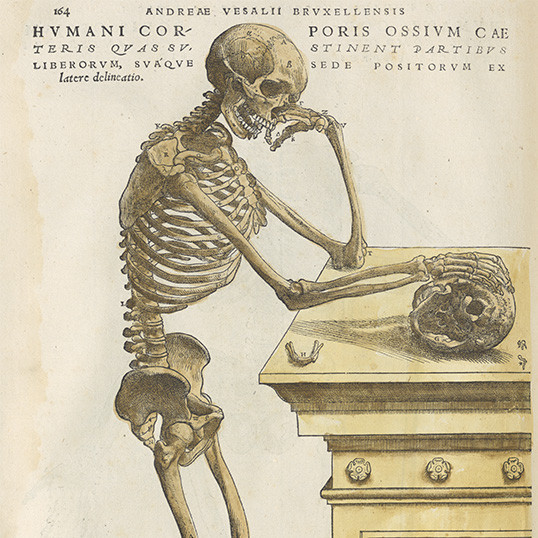 De humani corporis fabrica libri septem (On the fabric of the human body in seven books)