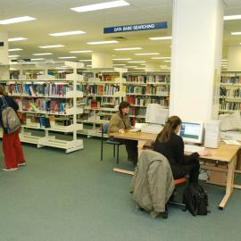 Database searching, Nursing Library, 2002