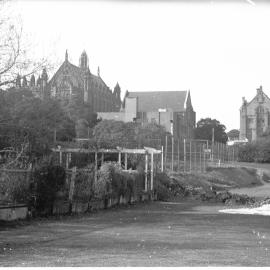Original Fisher Library (now MacLaurin Hall) and old Medicine Building, 1962