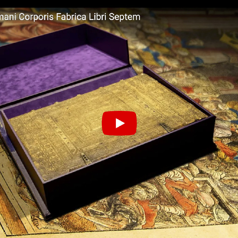 Associate Professor Cate Storey discusses the University of Sydney copy of Vesalius' De Humani Corporis Fabrica