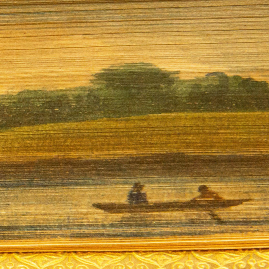 Fore-edge painting: The complete angler