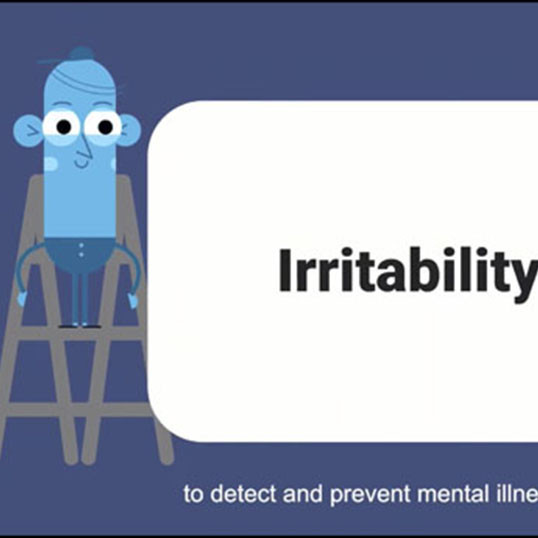 [Runner-up 2023] Understanding irritability: Definition, measurement and modelling