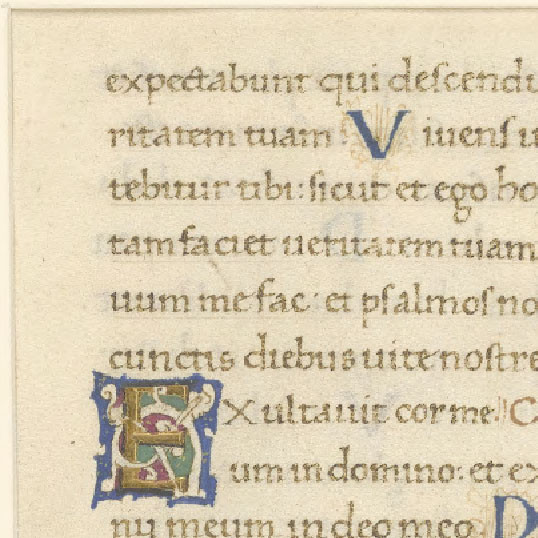 Psalterium