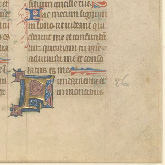 Psalterium