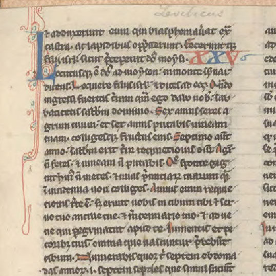 Fragment of the Latin Vulgate Bible : from Leviticus chapter 25 to Isaiah 7