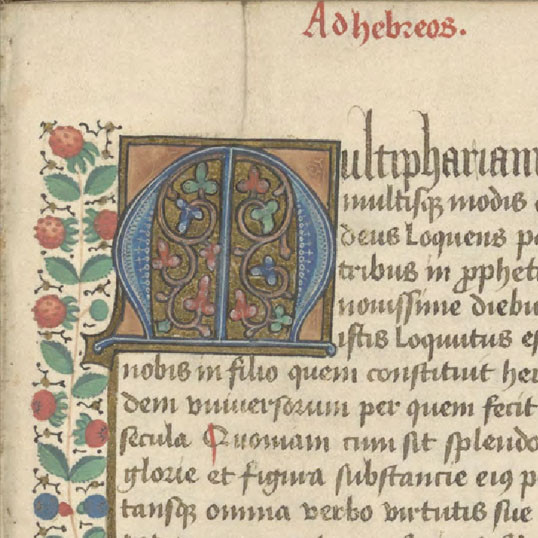 Epistolae beati Pauli M.S.
