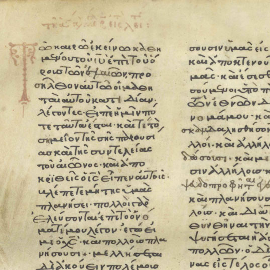 Codex Angus