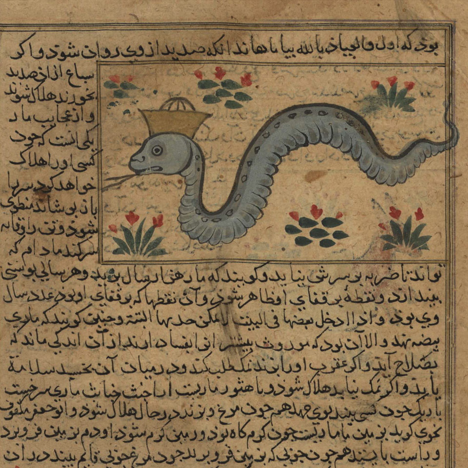 ʻAjāʼib al-makhlūqāt wa Gharāʼib al-mawjūdāt : [A section of The Wonders of Creation and the Oddities of Existence]