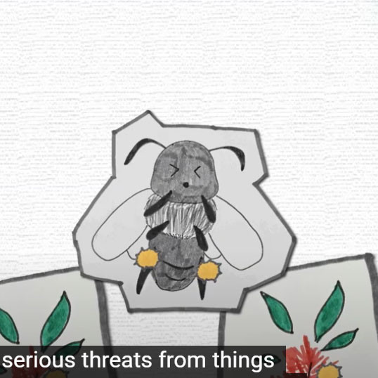 The Beneficial Relationship Between Fungi and Stingless Bees