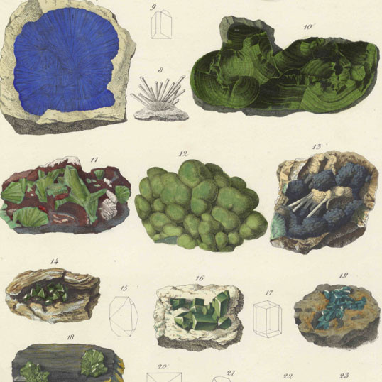 The mineral kingdom : with coloured illustrations of the most important minerals, rocks, and petrifactions 