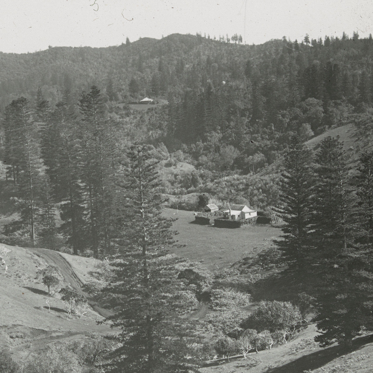 Hills and houses, Norfolk Island