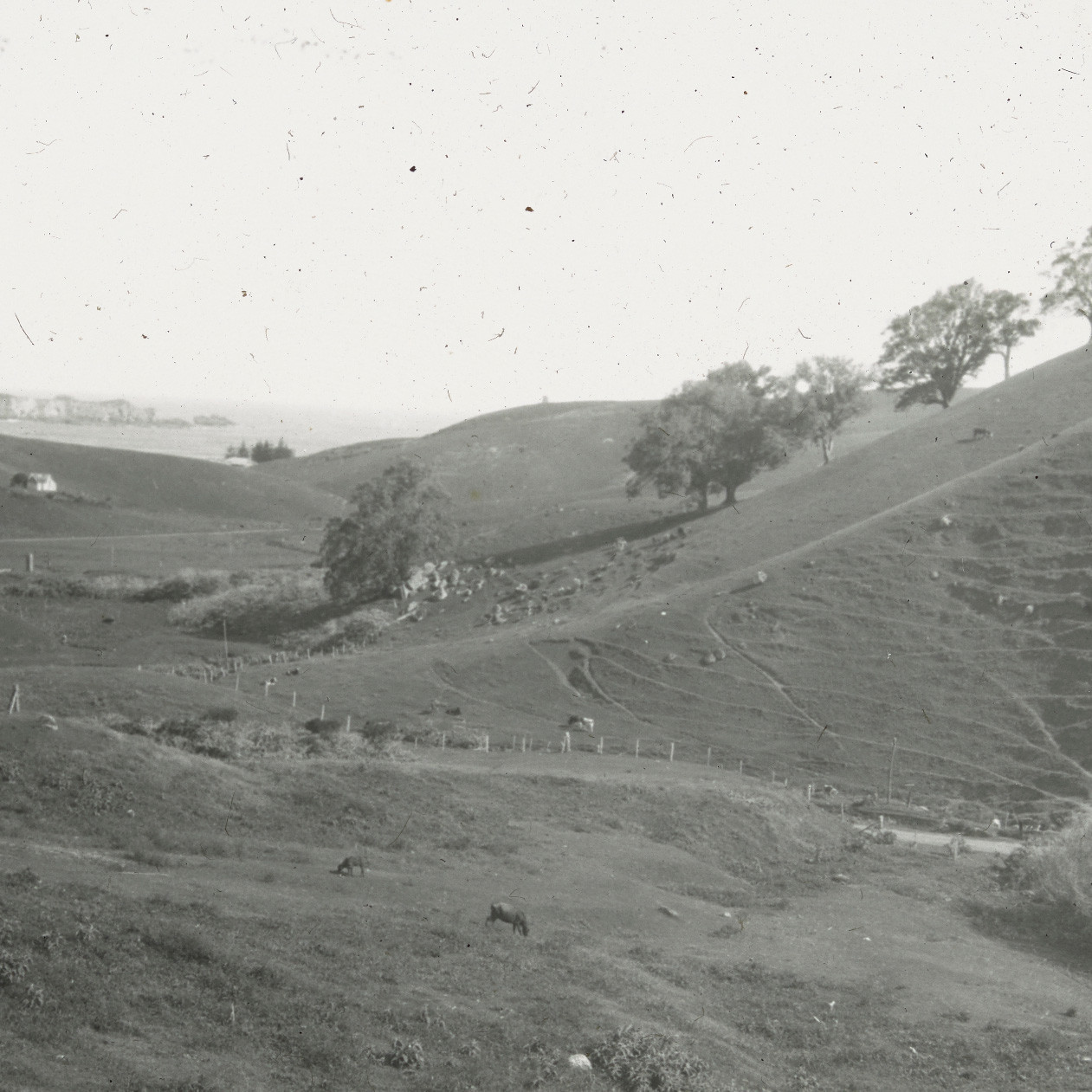 Road towards Kingston, Norfolk Island