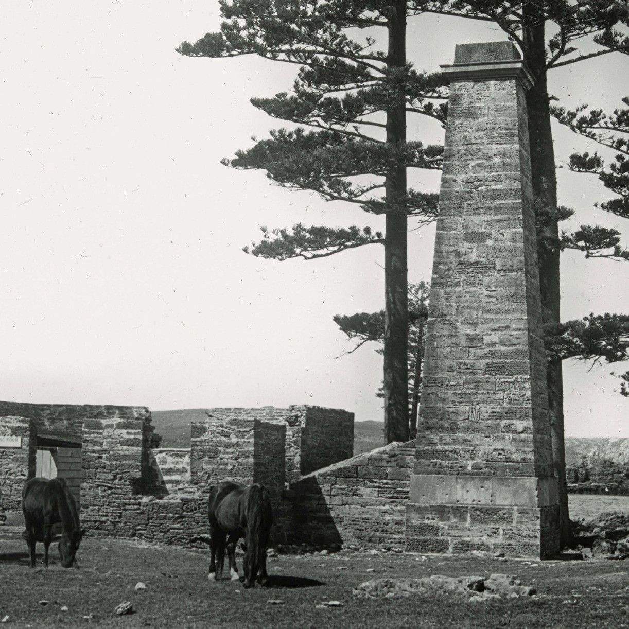 The Salt House at Emily Bay, Norfolk Island
