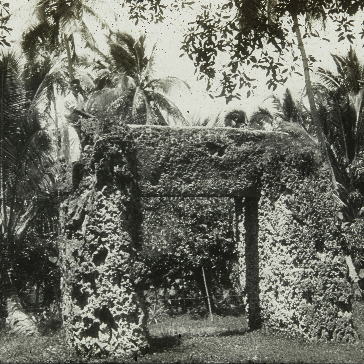 The Stonehenge of the Pacific, Tonga