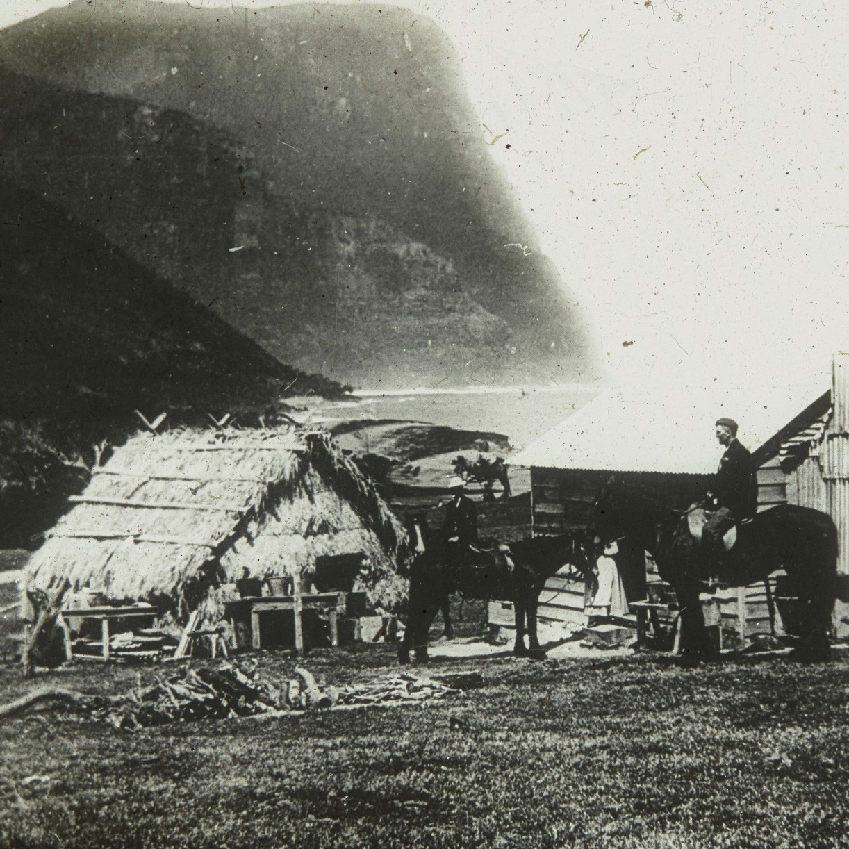 On horseback, Lord Howe Island